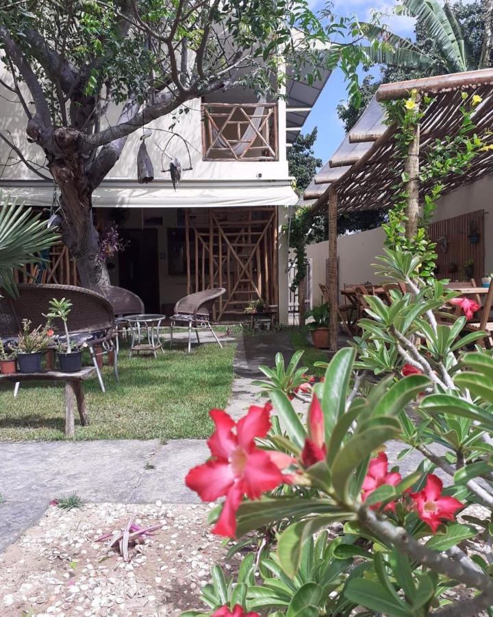 Casa Eolica Otel Barra Grande  Dış mekan fotoğraf