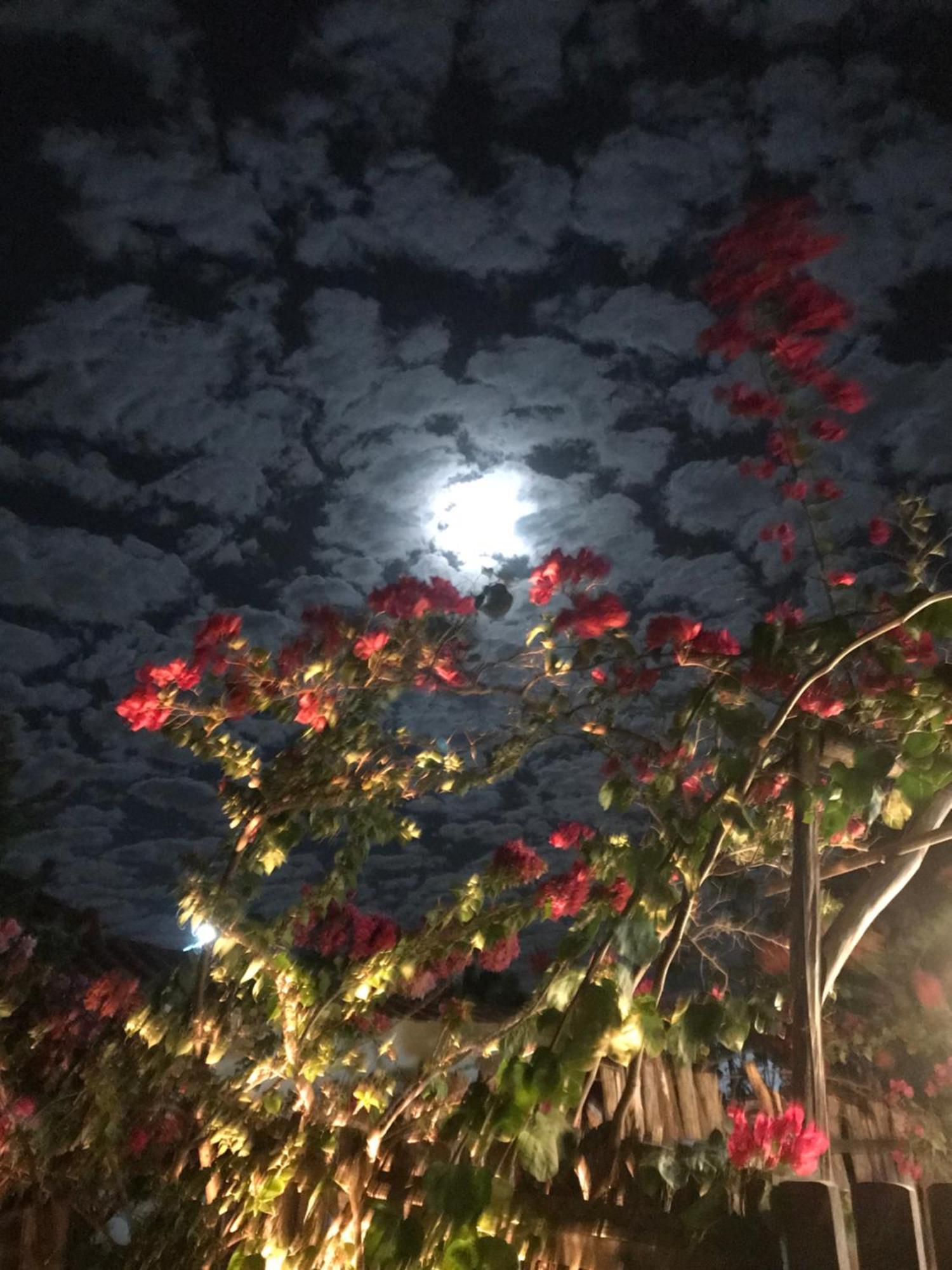 Casa Eolica Otel Barra Grande  Dış mekan fotoğraf