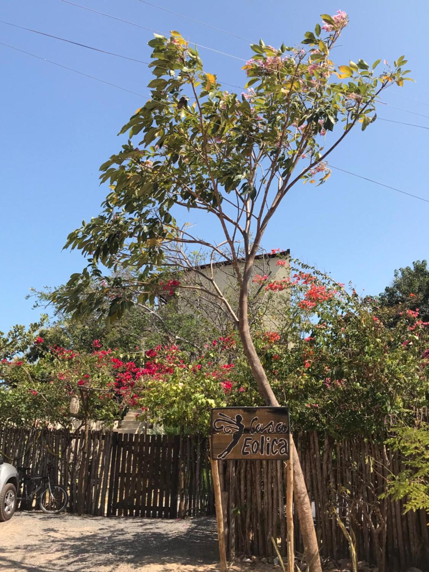 Casa Eolica Otel Barra Grande  Dış mekan fotoğraf